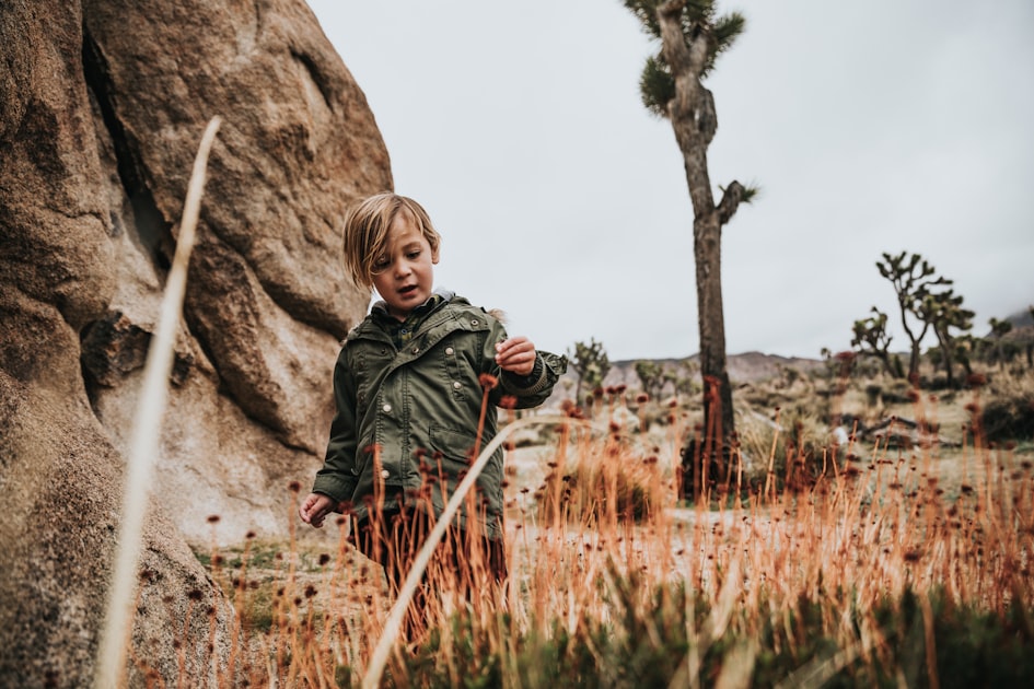 Adventure Packs for Every Explorer